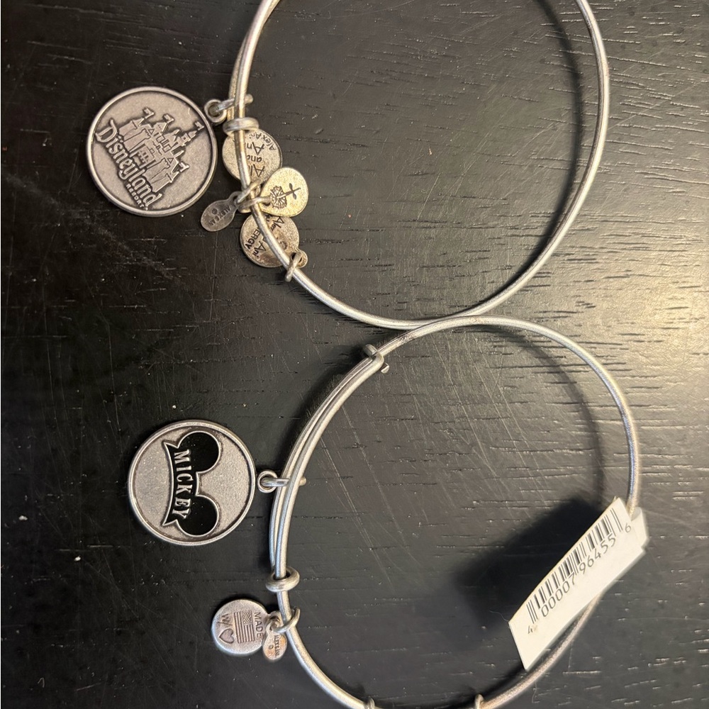 Alex and Ani Silver Charm Bracelets